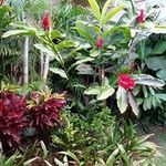 Steven Berman - @slbesq333 - Instagram