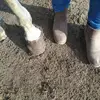 stevenwdebernardi - @stevenwdebernardi - TikTok