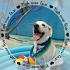 stevenbyerly - @stevenbyerly - TikTok
