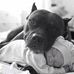 Steve Biller - Facebook