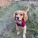 Steven Binnie - Facebook