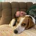 Steve Bisbee - Facebook