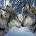 Steven Bisbee - Facebook