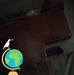 Steven Blaser - Facebook