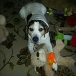 Steve Boden - @steveboden3956 - Instagram