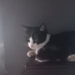 Steven Boden - @steven.boden.3152 - Instagram