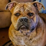 Steven Boden - Facebook