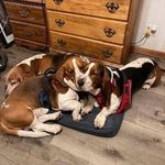 Steve Bodnar Jr. - @steve.bodnar.3939 - Instagram