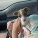 Steven Bolton - Facebook