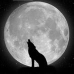Steven Bonetti - Facebook