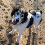 Boomer - @boomer_eef_jens_francy_steven_ - Instagram