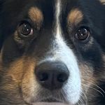 Boomer Stevens - @boomerstevens2 - Instagram