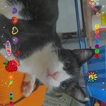 Steven / Jiló / Boomer - @steven_.jilo_.boomer - Instagram