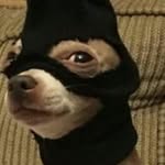 Steven - @steven_be_boppin - Instagram