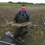 Steve Borchert - @steviwonder_world_ - Instagram