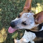 Steven Border - @stevenb3333 - Instagram