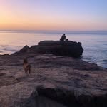 Steve Borelli - @borell_eye - Instagram