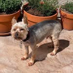 Steven Borges - @steven.borges.564 - Instagram