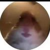 Steven - @steven_boring - TikTok