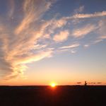 Steve Bosman - @stevenjbosman - Instagram