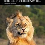 Steven Botha - Facebook
