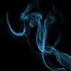 Steven Bourgaize - @stevenbourgaize - TikTok