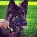 Steven Bowen - @stevenbowen51 - Instagram