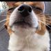 Steven Bowes - Facebook