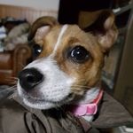 Steven Bowes - @stevenjbowes - Instagram
