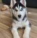 Steven Boyer - Facebook