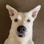 Steve Braatz - @stevebraatz - Instagram