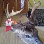 Stephen Bragg - @stephen.bragg - Instagram