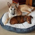Steve Bramblett - @steve.bramblett.14 - Instagram