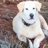Steve Brandenburg - @steve.brandenburg - TikTok
