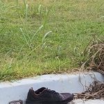 Steven Eugene Branham - @branham.steven - Instagram