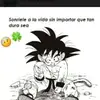 Steven Breyson Vidal Prado - @steven.breyson.vi - TikTok