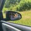 steven_embrey - @steven_embrey - TikTok