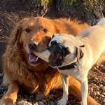 Steven Brinkerhoff - @s_brinkerhoff - Instagram