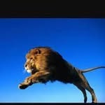 Steven Brisco - @sbrisco22hotmailcom - Instagram