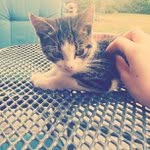 Steven Briscoe - @stevenxbriscoex70 - Instagram