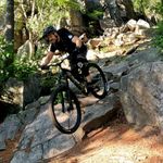 Steve Brisson - @stevebrisson - Instagram