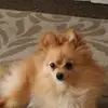 Steven Bristow676 - @stevenbristow676 - TikTok
