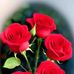 Steven Browse - Facebook