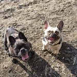 Steven Brouwer - @stevenlizzie - Instagram