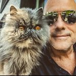 Steven Brouwer - @stvnbrwr - Instagram