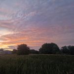 Steven Bruder - @carphunting481 - Instagram