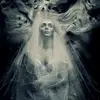 Steven Brunson - @stevenbrunson371 - TikTok