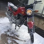 Steven Buck'o - @stevenbuckley1 - Instagram