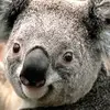 Steven Budge - @steven.budge - TikTok