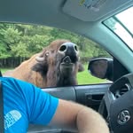 Steve Buehler - @buehler.steve - Instagram